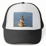 Two mallards hats