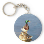 Two mallards keychains
