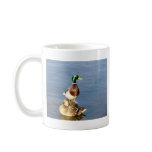 Two mallards mugs