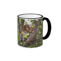 Two Monkeys In A Tree Coffee Mug