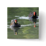 Two Moorhens buttons
