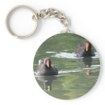 Two Moorhens keychains