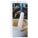 Two Mortars and Pestles in Lab Rack Card Template
