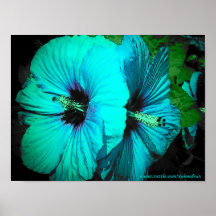two of a kind print