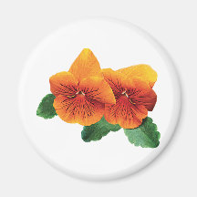 Two Orange Pansies Refrigerator Magnets