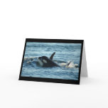 Two Orcas Greeting Card
