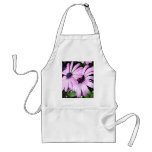 Two Osteospermum aprons