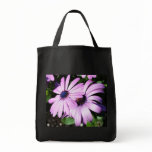 Two Osteospermum bags
