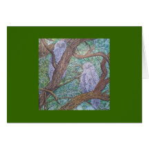 two owls greeting cards