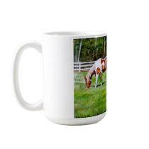 Two Paint Horses grazing Mug
