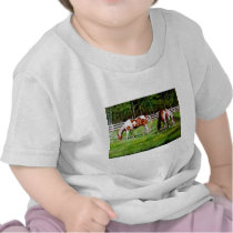 Two Paint Horses grazing T-shirt