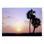 Two Palm Trees cards