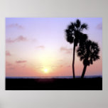 Two Palm Trees posters