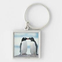 Two Penguins touching beaks Keychain