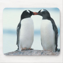 Two Penguins touching beaks Mouse Pad