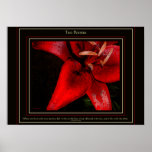 Two Pennies on Black Poster