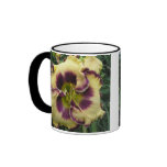 Two Picture Mug