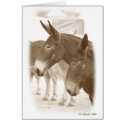 Two Points of View cards