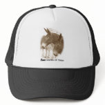 Two Points of View hats