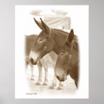 Two Points of View posters