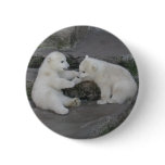 Two Polar Bear Cubs Pins