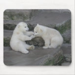 Two Polar bear cubs Mousepad