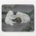 Two Polar bear cubs mousepads