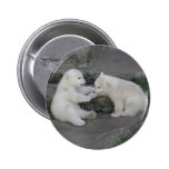 Two Polar Bear Cubs Pins