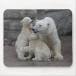 Two Polar bear cubs with mother Mousepads