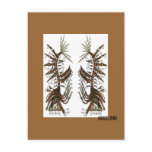 "TWO PRIMITIVE FRIENDS" abstract art friends Postcards