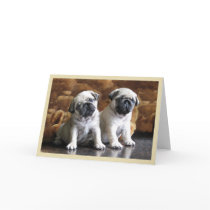 Two Pugs Greeting Card