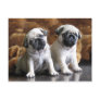 Two Pugs Postcard
