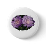 Two Purple Asters buttons