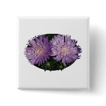 Two Purple Asters Button