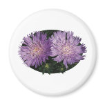 Two Purple Asters magnets