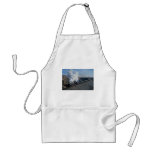 Two QJ's on oil train from Zhongwei, China Apron