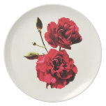 Two Red Carnations with Buds Plates