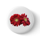 Two Red Daisies buttons