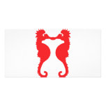 two red sea horses icon photo cards