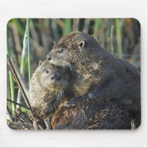 Two River Otters Mousepads