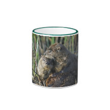 Two River Otters Mugs
