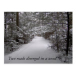 Two roads diverged in a wood winter postcard