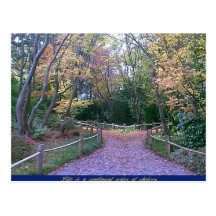 Two Roads Postcard