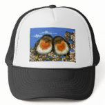 Two robins hat