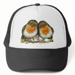 two robins mesh hat