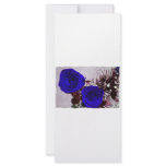 Two roses bleu coloured with baby's breath back rack cards