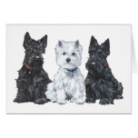 Two Scotties and a Westie Greeting Cards