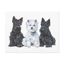Two Scotties and a Westie Post Cards
