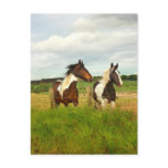 Two Scottish beauties postcards