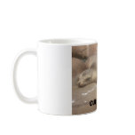 Two seals cuddle mug